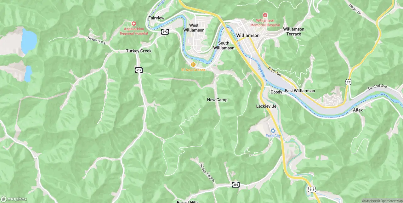 Internet in South Williamson