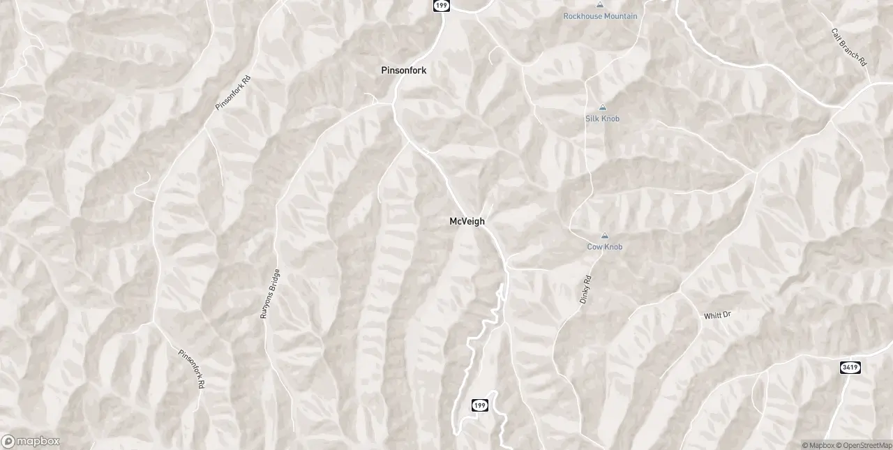 Internet in Pinsonfork