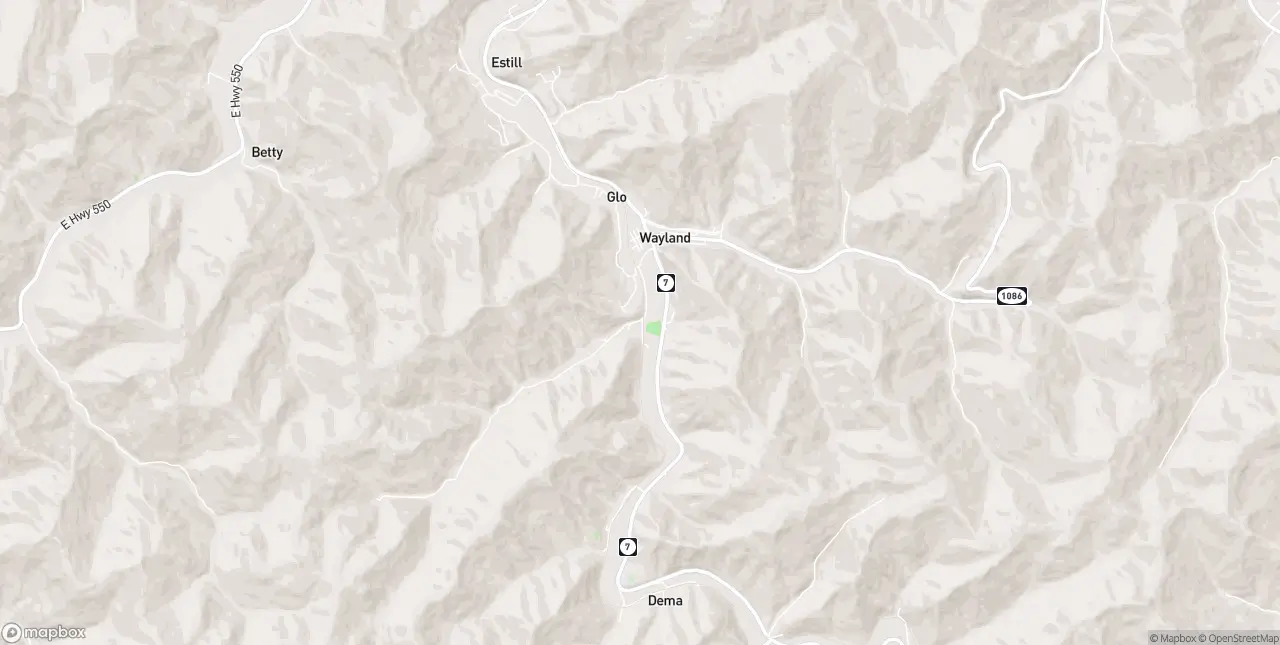 Internet in Wayland