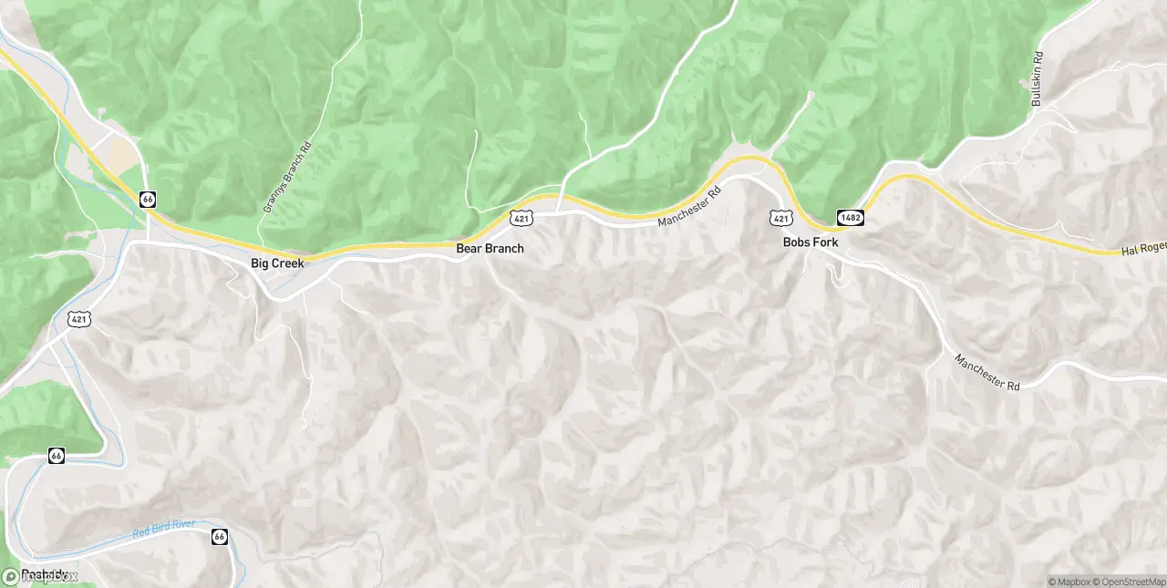 Internet in Bear Branch