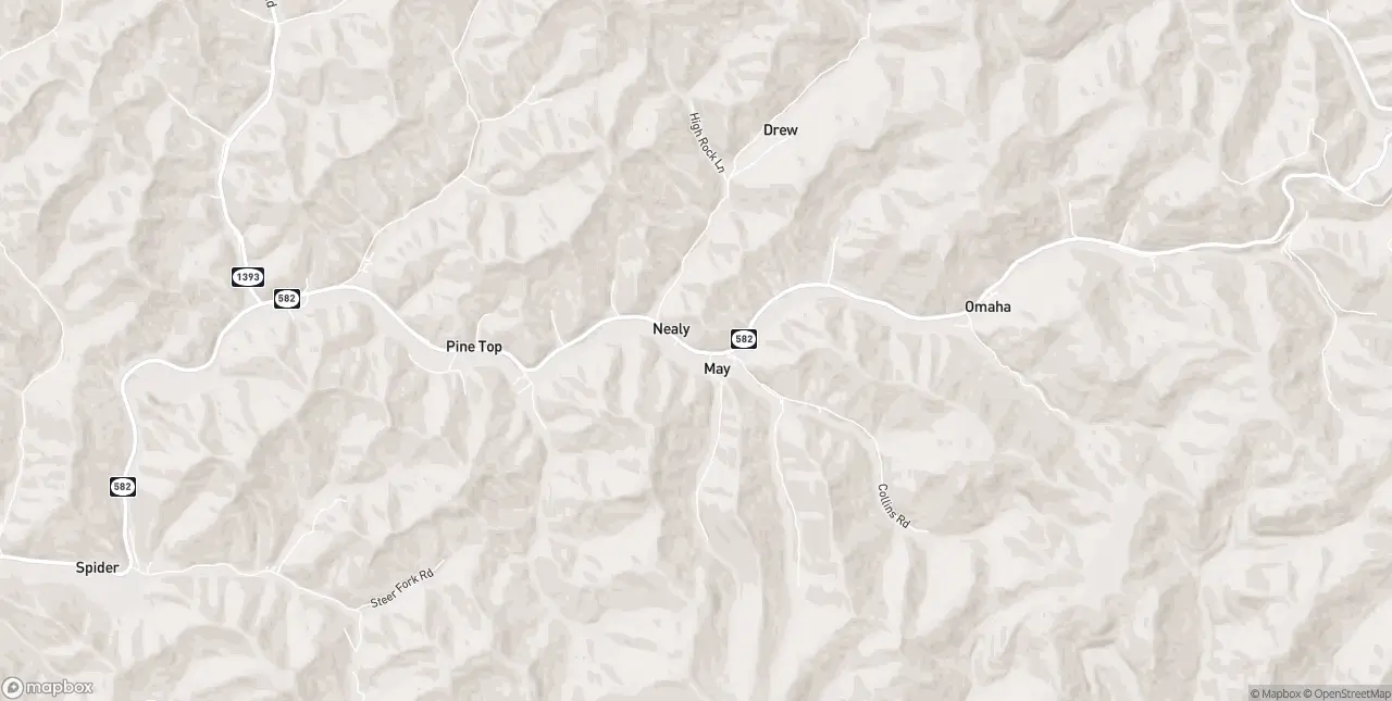 Internet in Pine Top