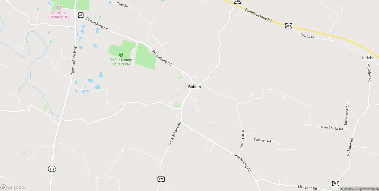 Internet in Buffalo