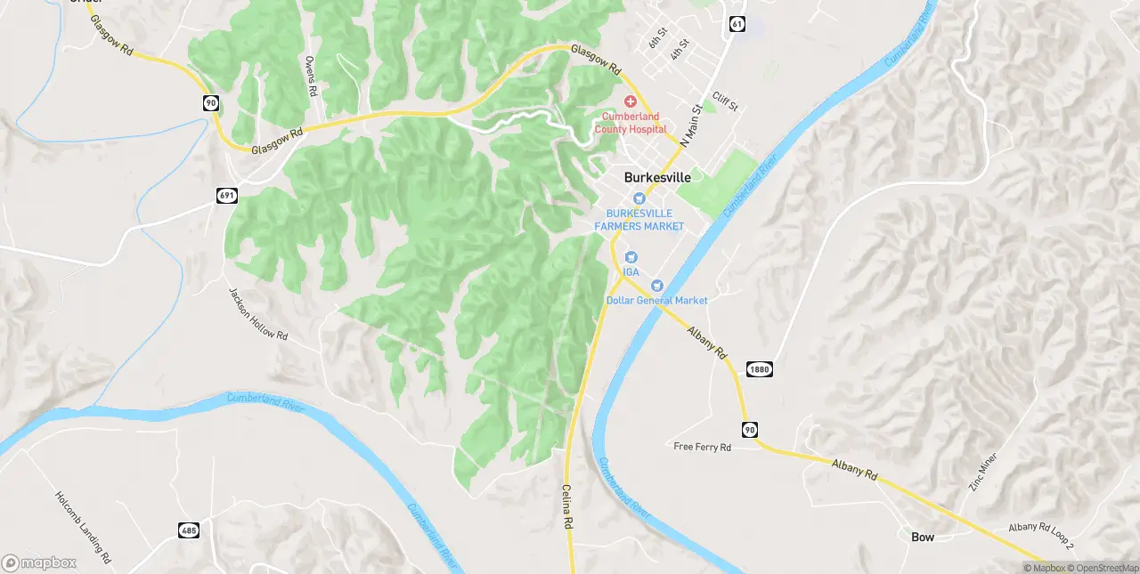 Internet in Burkesville
