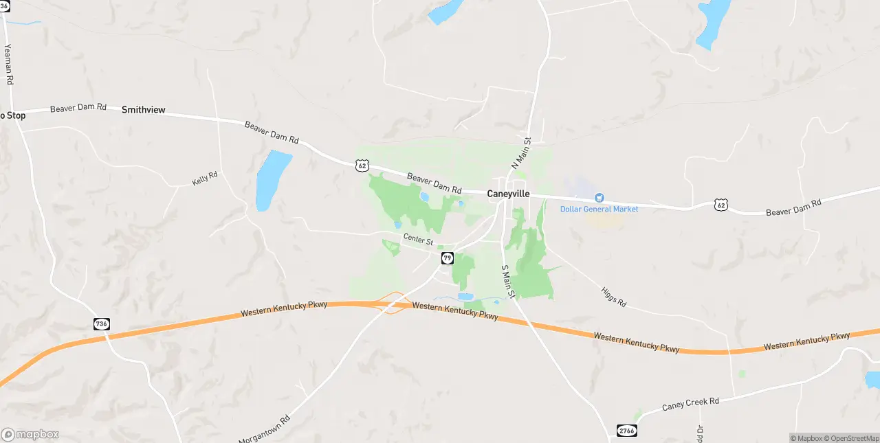 Internet in Caneyville