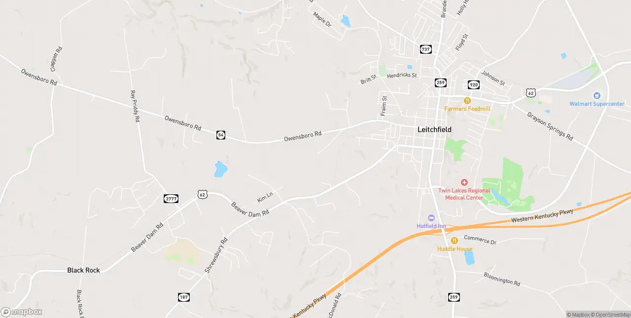 Internet in Leitchfield