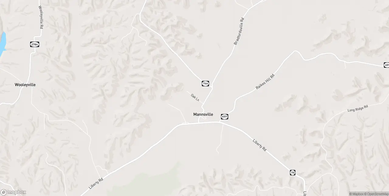 Internet in Mannsville