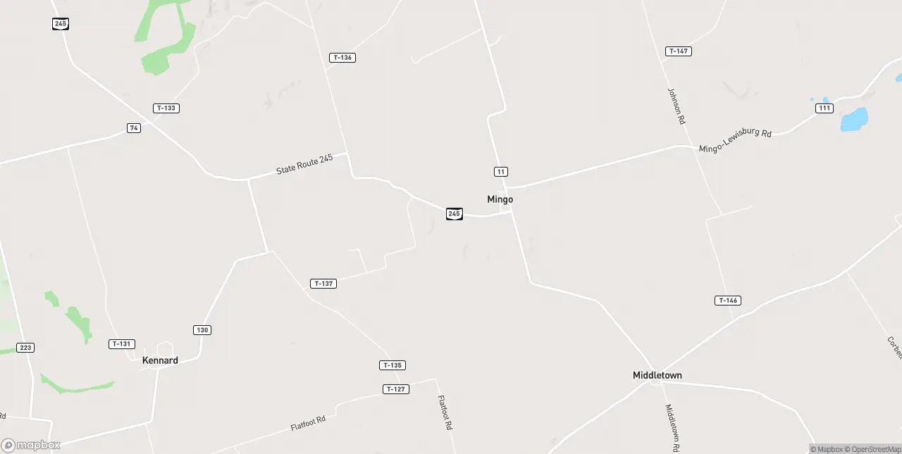 Internet in Mingo