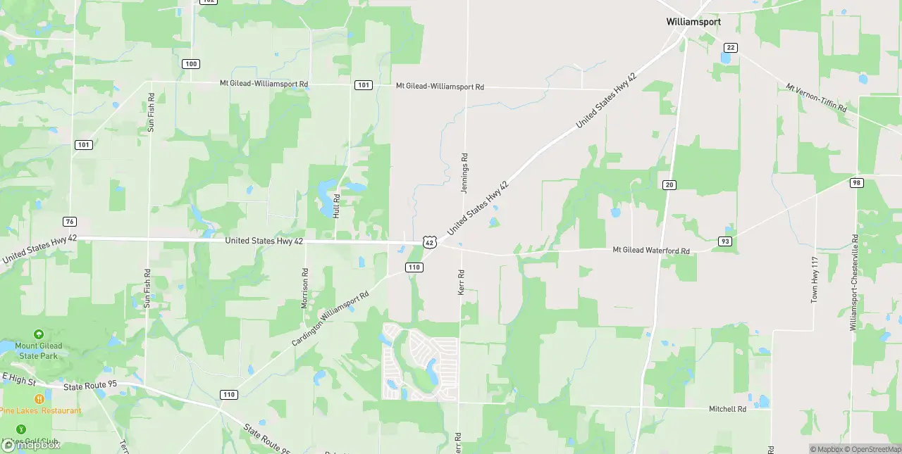 Internet in Mount Gilead