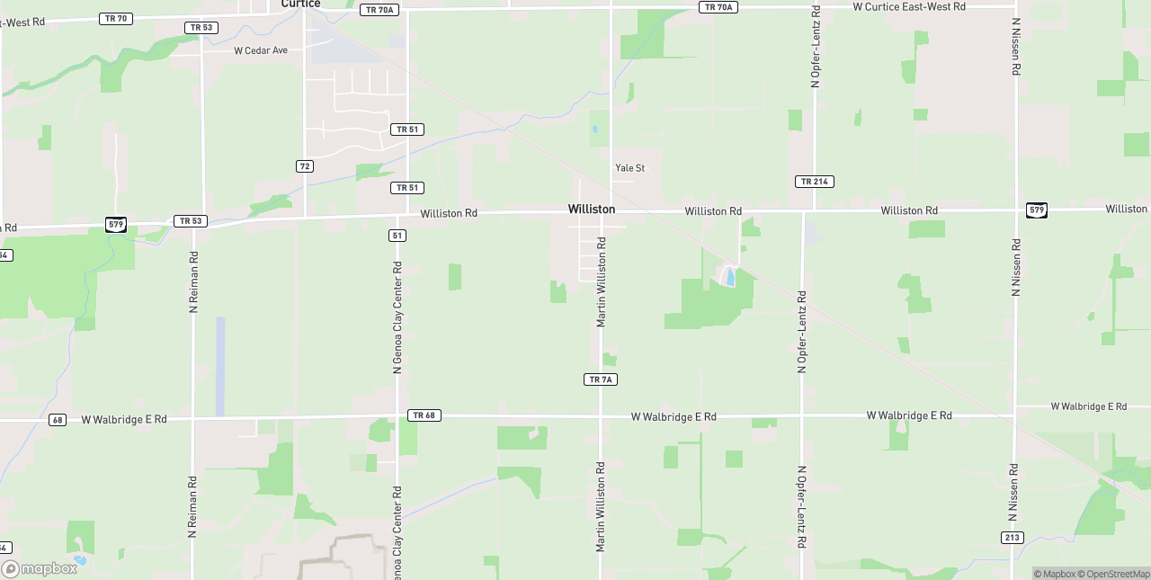 Internet in Williston - 43468