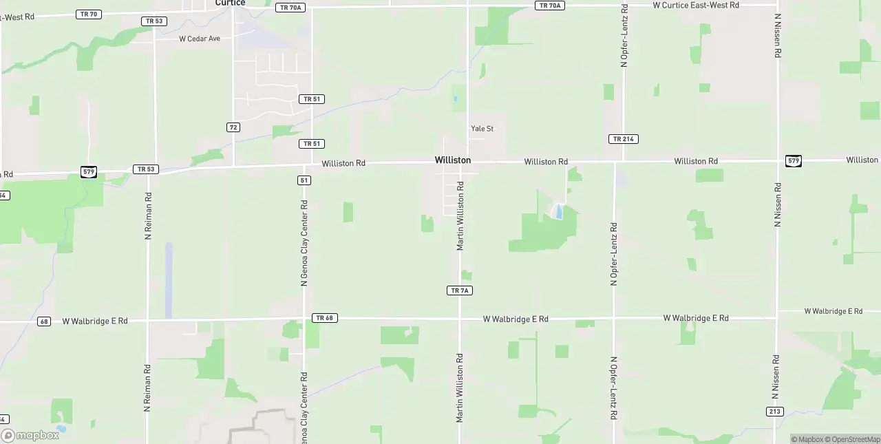 Internet in Williston