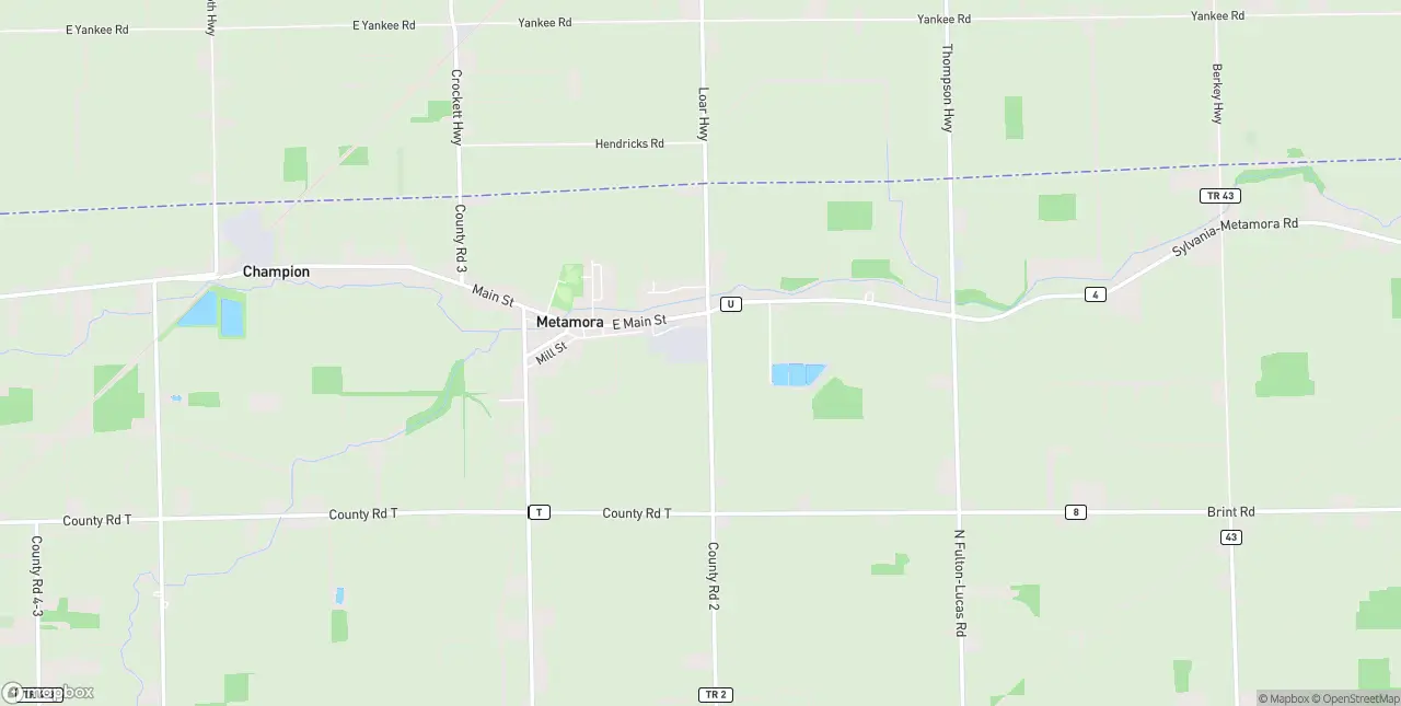 Internet in Metamora