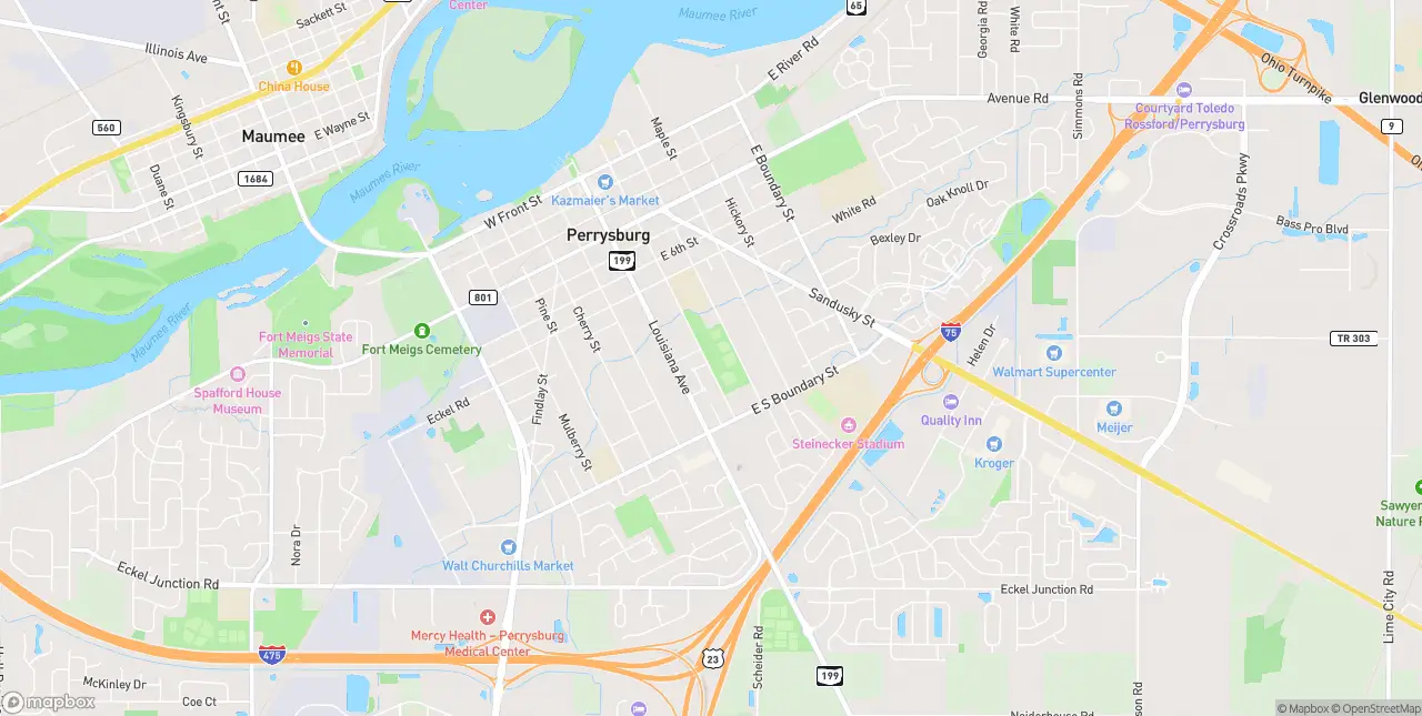 Internet in Perrysburg