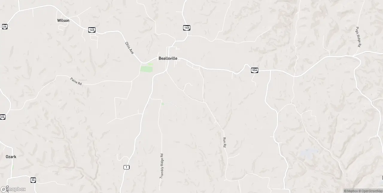 Internet in Beallsville