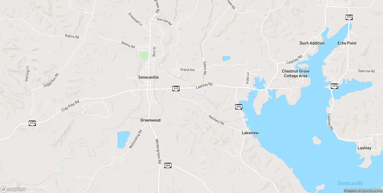 Internet in Senecaville