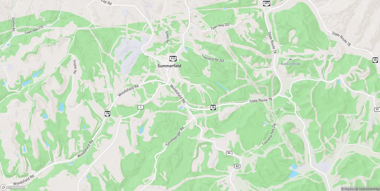 Internet in Summerfield