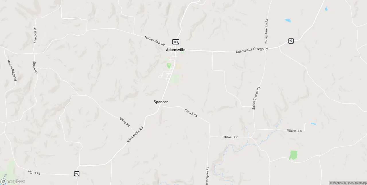 Internet in Adamsville