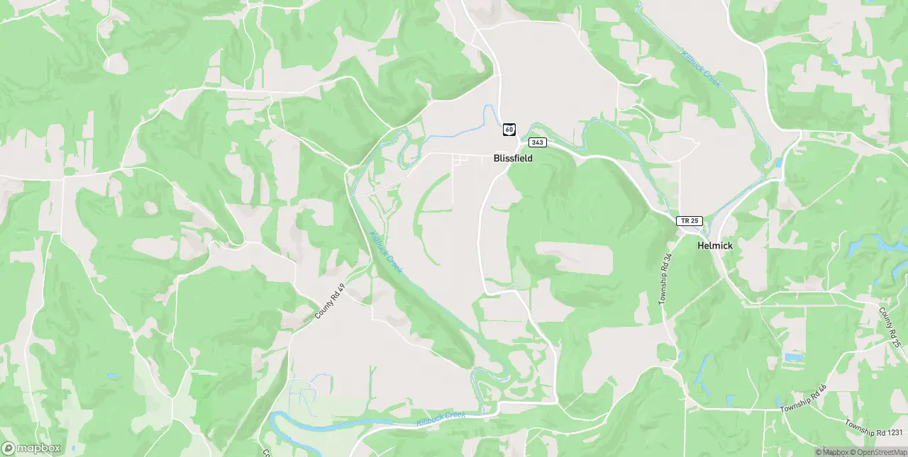 Internet in Blissfield