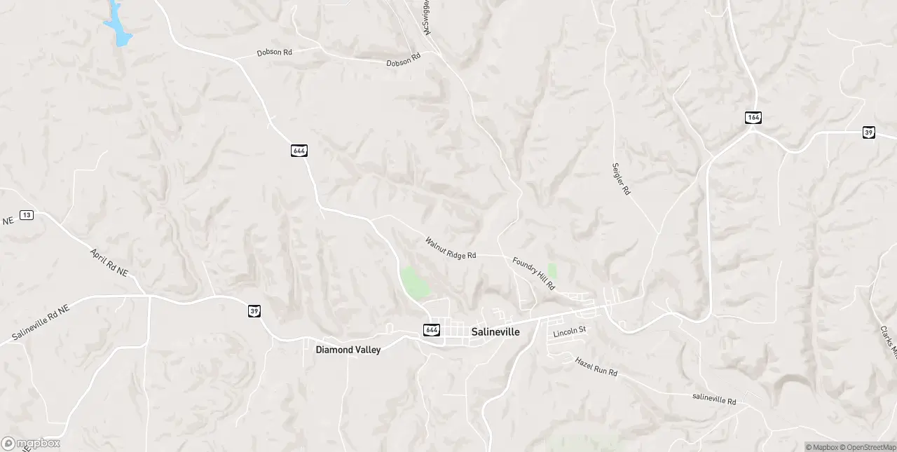 Internet in Salineville