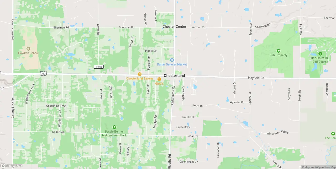 Internet in Chesterland