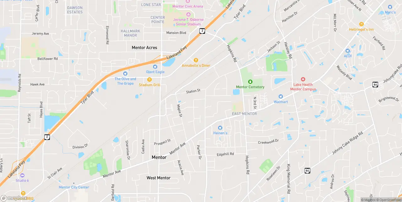 Internet in Mentor