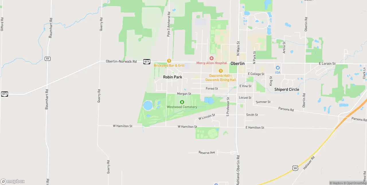Internet in Oberlin