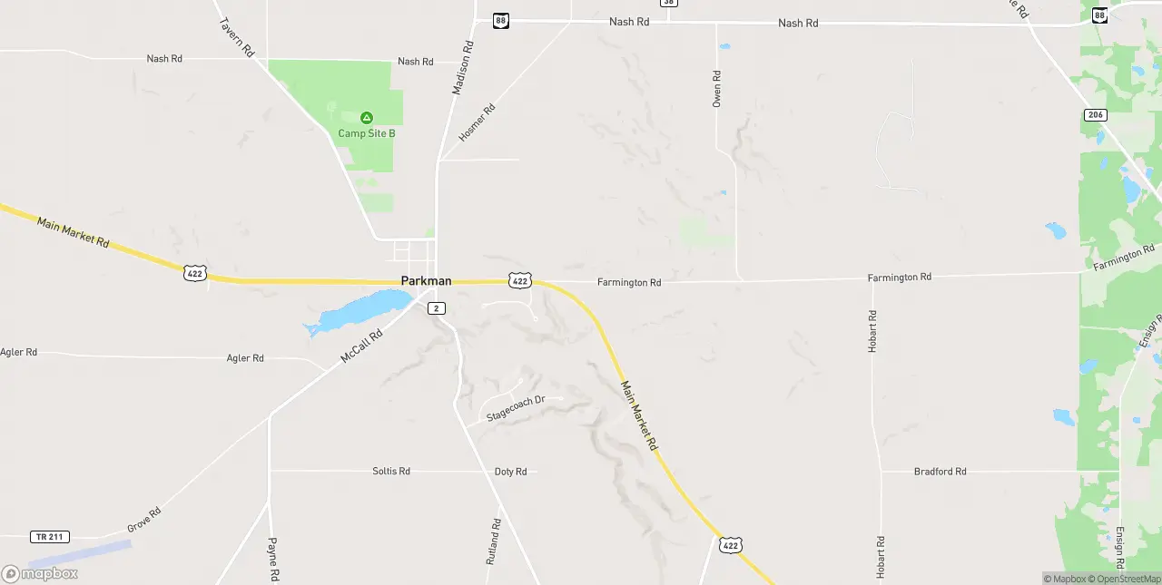 Internet in Parkman