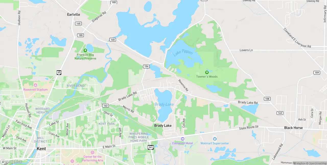 Internet in Brady Lake