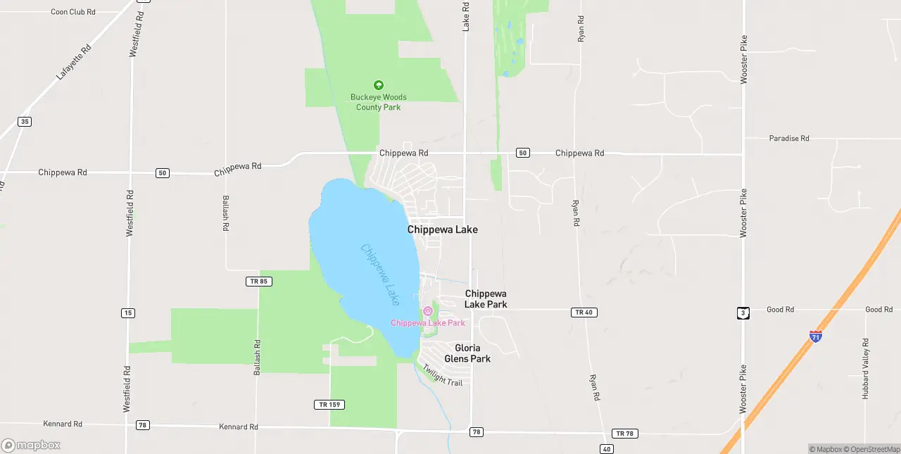 Internet in Chippewa Lake