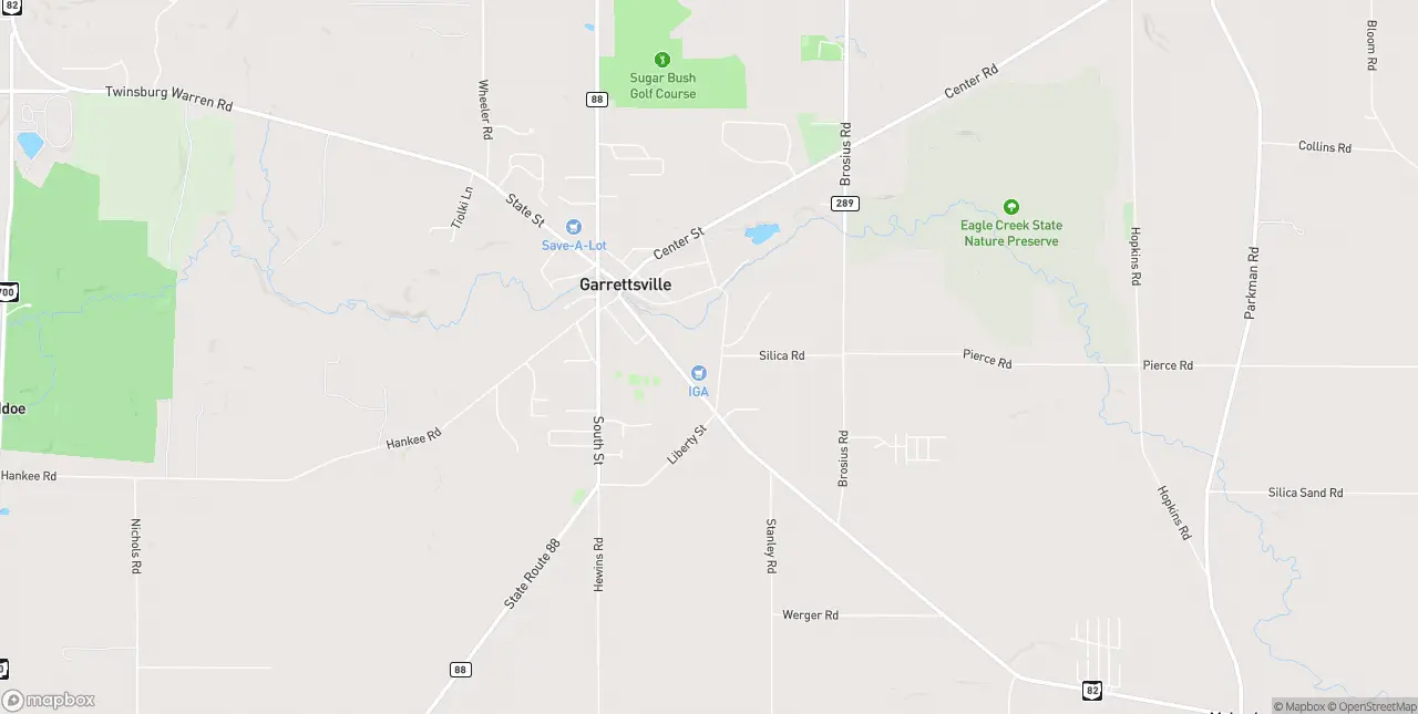 Internet in Garrettsville