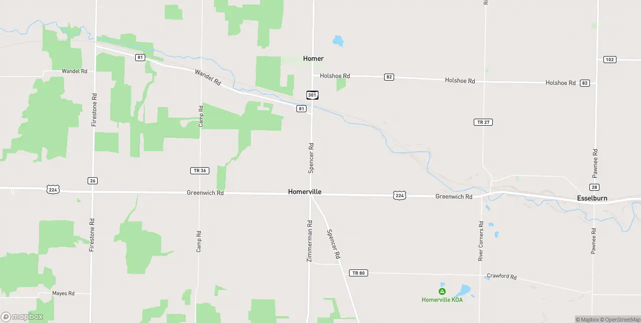 Internet in Homerville