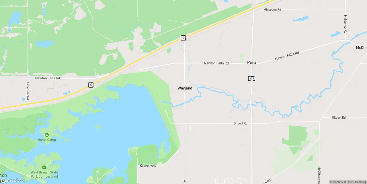 Internet in Wayland