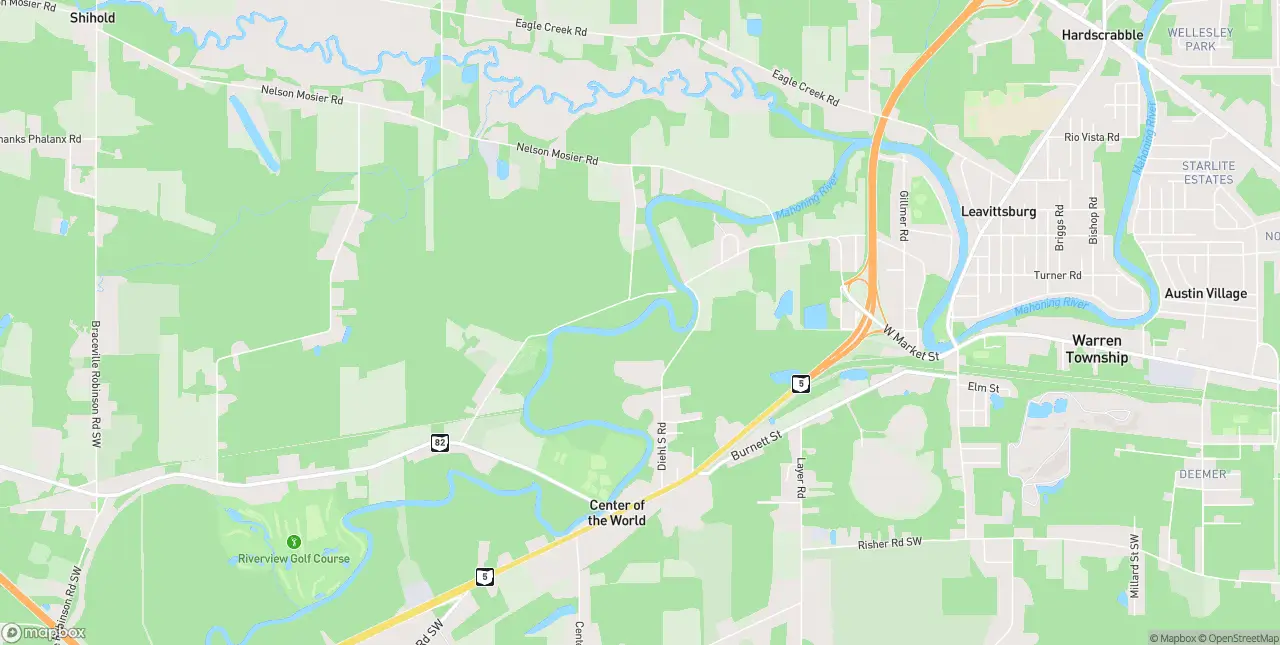 Internet in Leavittsburg