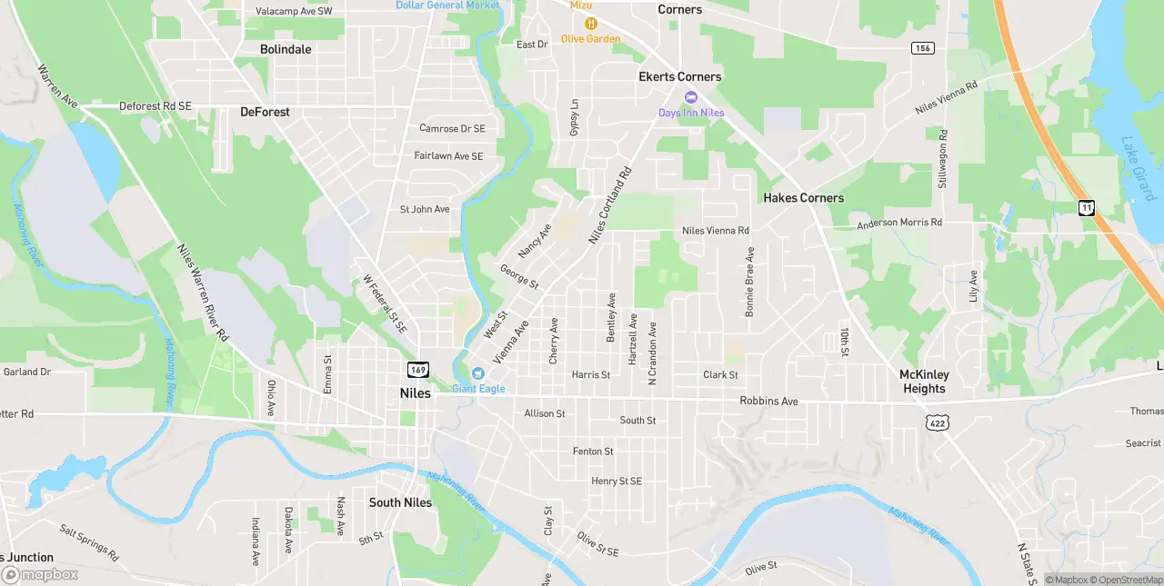 Internet in Niles