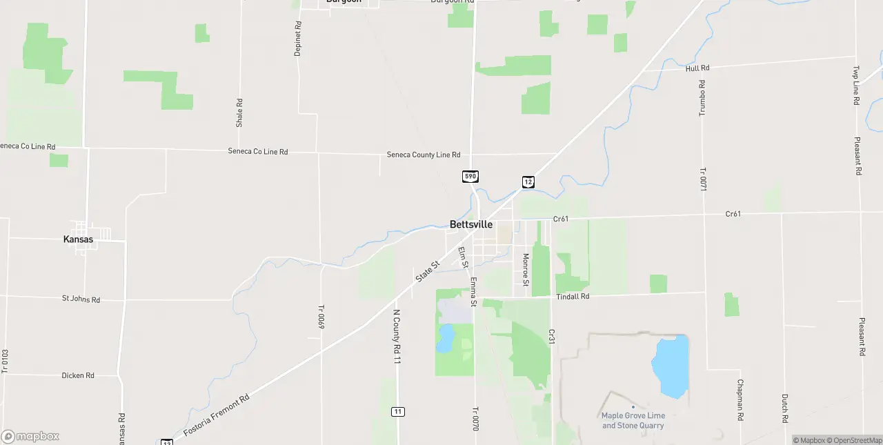 Internet in Bettsville