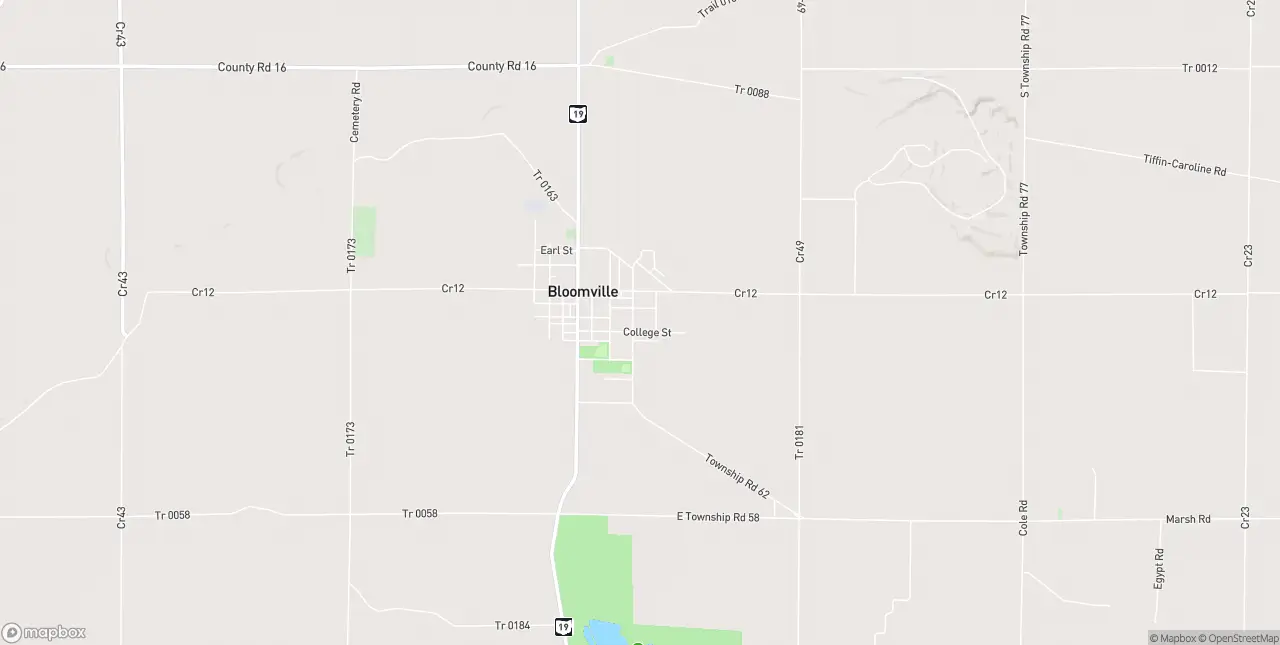 Internet in Bloomville