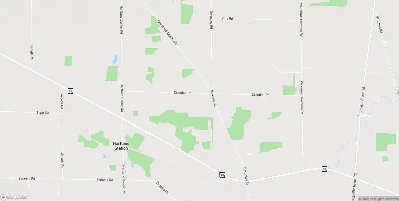 Internet in Collins