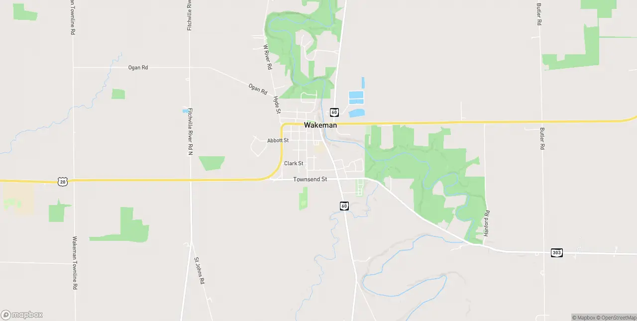 Internet in Wakeman