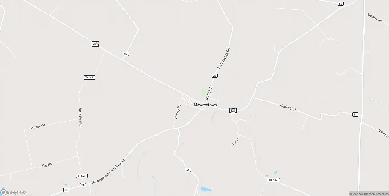 Internet in Mowrystown
