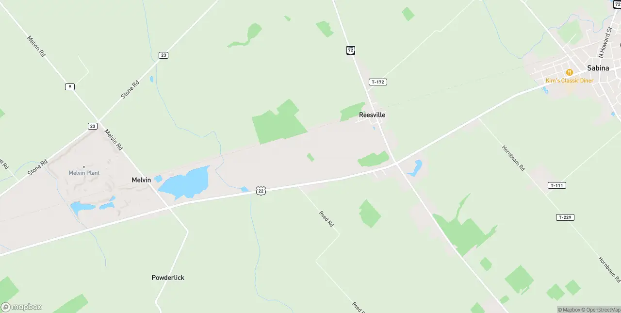 Internet in Reesville