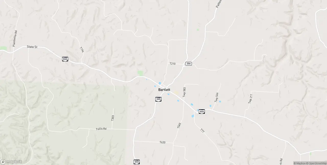 Internet in Bartlett