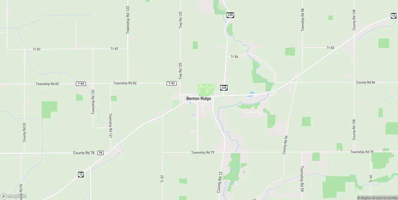 Internet in Benton Ridge