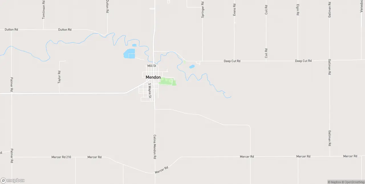 Internet in Mendon