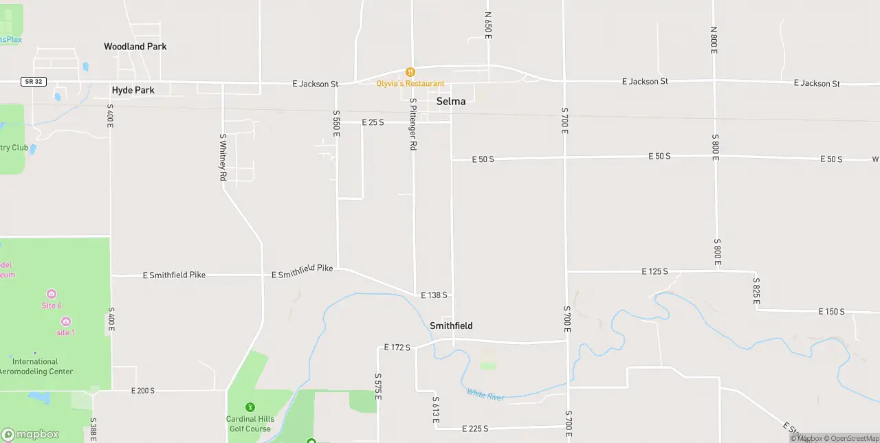 Internet in Selma