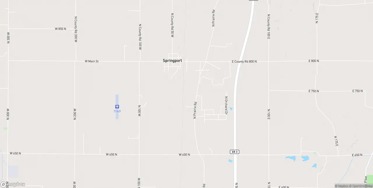 Internet in Springport