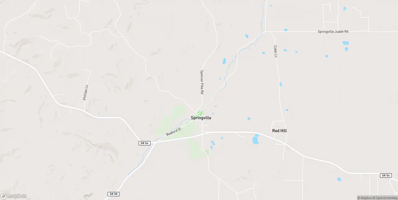 Internet in Springville