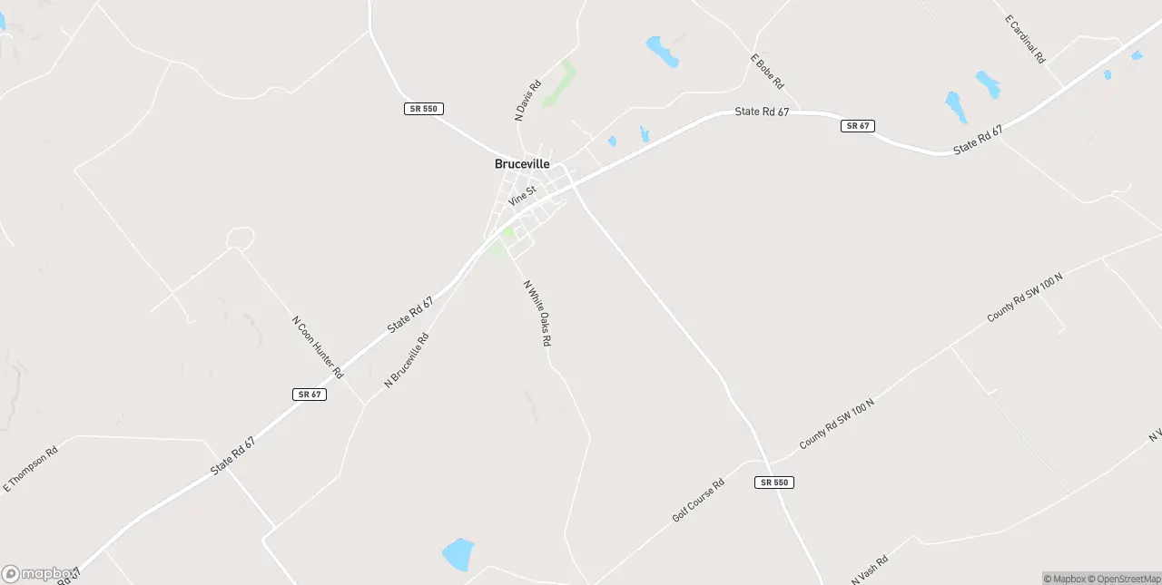 Internet in Bruceville