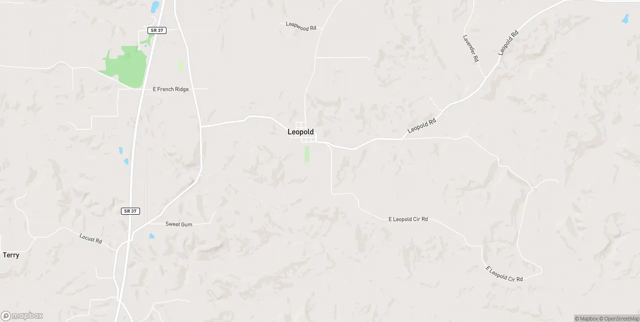 Internet in Leopold