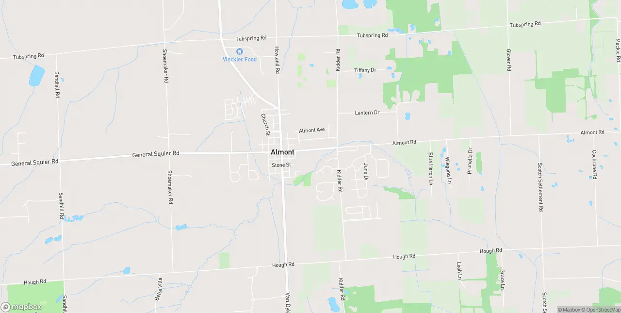 Internet in Almont