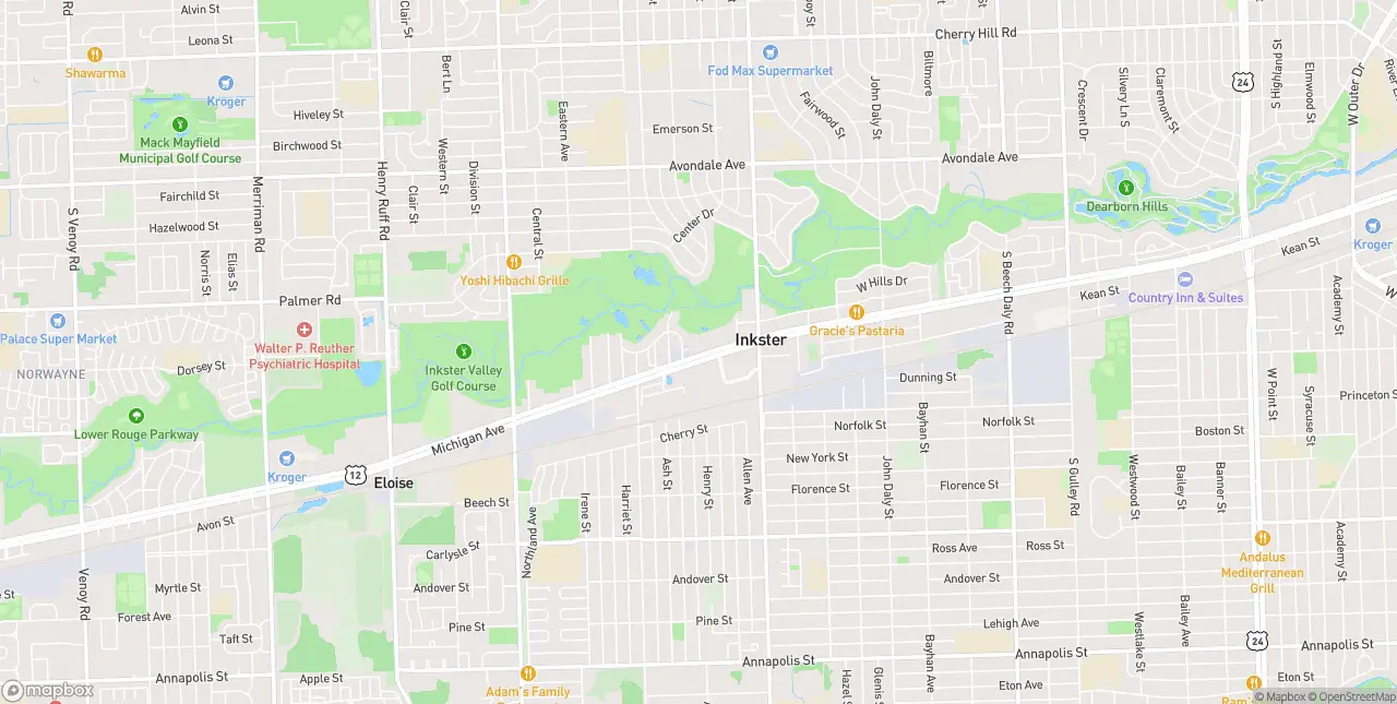 Internet in Inkster