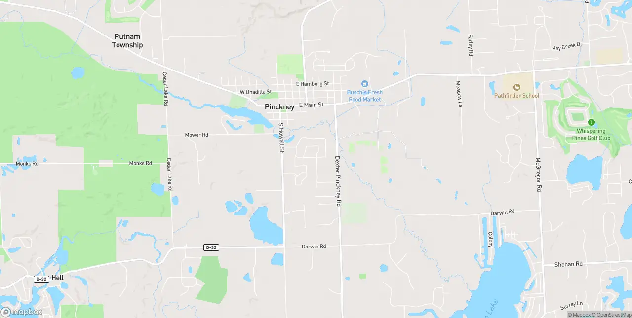 Internet in Pinckney